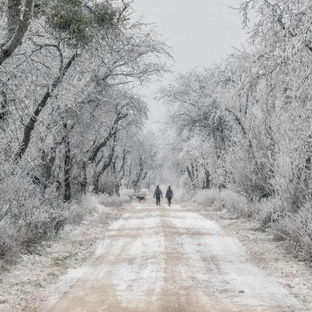 2026/03/04 Mi. 15:30-17:15 Trail-Training. Breitenfurt b. Wien.