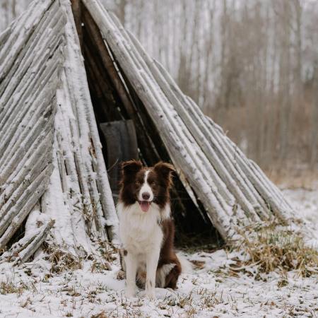 2026/01/14 Mi. 15:00-16:15 Trail-Training: Express. Bad Vöslau, Schlosspark.