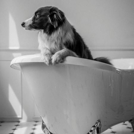 2026/01/16 Fr. 14:30-16:30 Special Trail-Training. Hornbach Gerasdorf, Indoor.