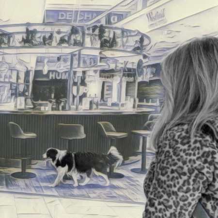 2026/01/11 So. 12:45-14:15 Special Trail-Training: Indoor-Trail SCS-Vösendorf.