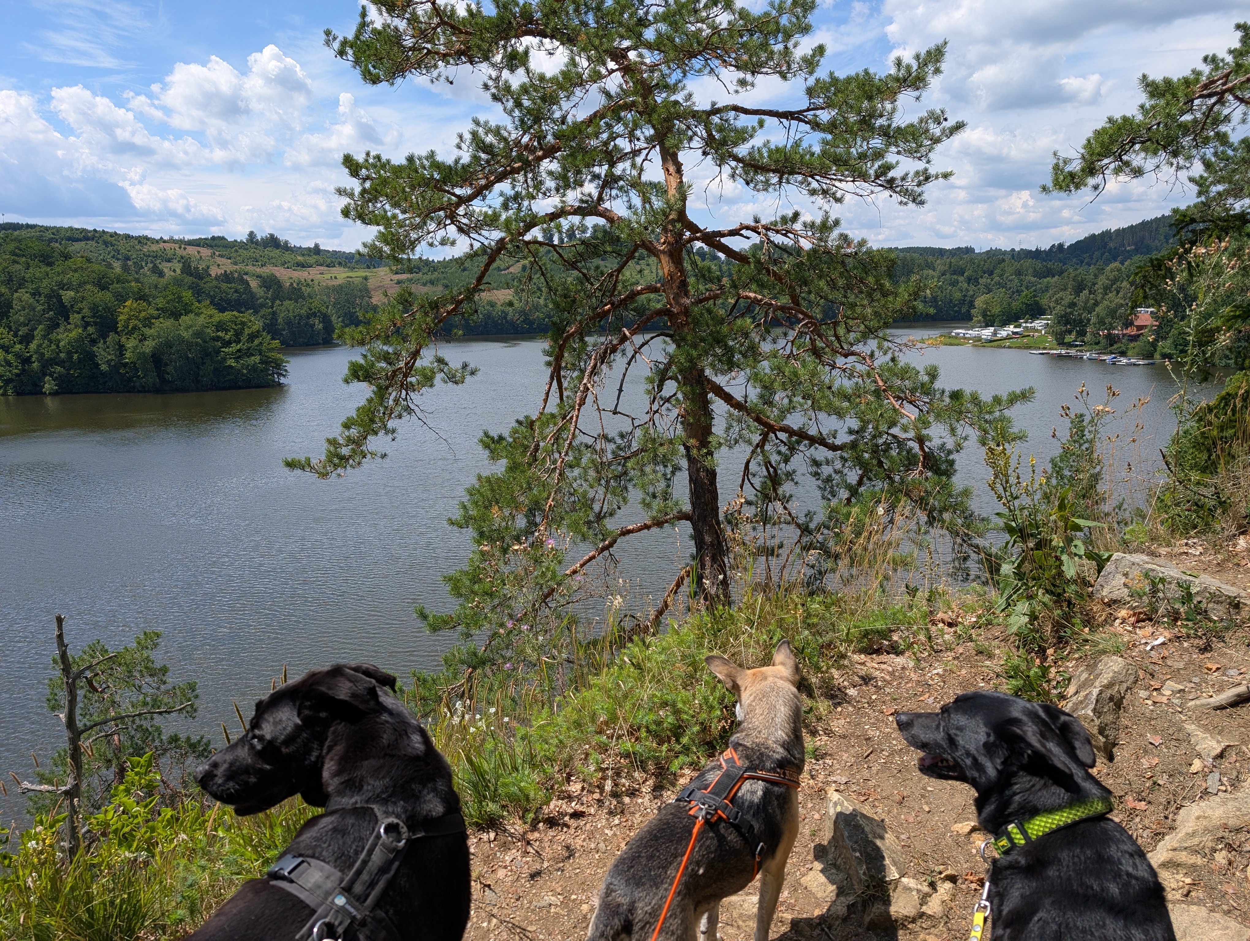 2026/07/31-2026/08/02 Fr.-So. Trail-Urlaub Waldviertel.