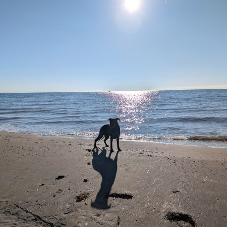 2026/04/17-19 Fr.-So. Trail-Urlaub Italien - Caorle.