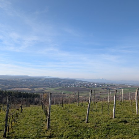 2026/03/12-13 Do.-Fr. Trail-Urlaub Burgenland, Oberwart & Bad Tatzmannsdorf.